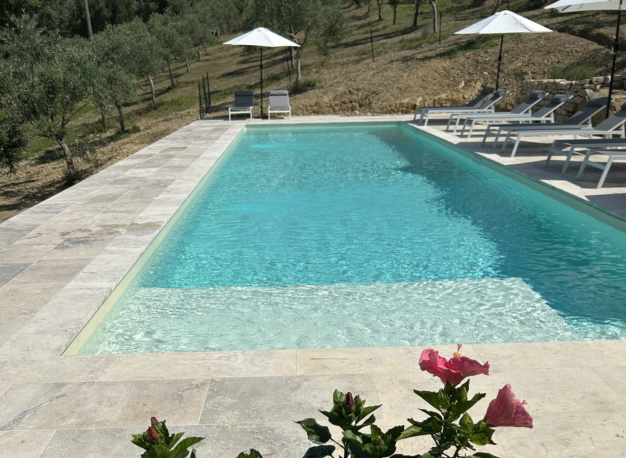 Blog piscina fiori
