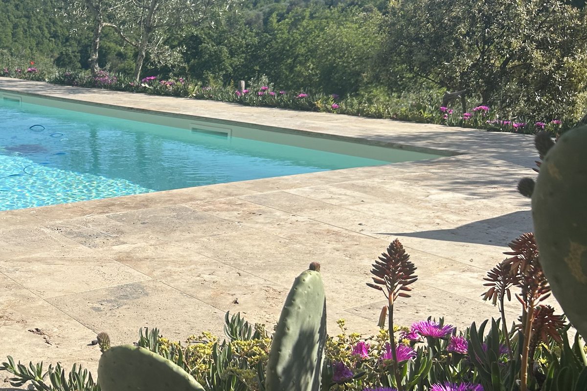 Piscina con pavimentazione in stile travertino e piante grasse fiorite in primo piano